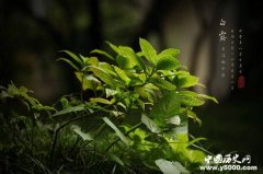 “白露”后温度下降速度加快 农耕需注意