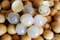 中国各地的“白露”习俗