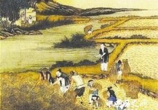 鲁国实行“初税亩”的制度