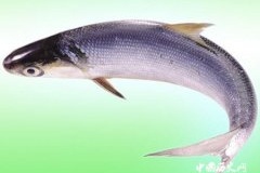 立冬吃这些对身体好