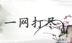 一网打尽典故释义