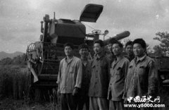 知青插队的背景介绍