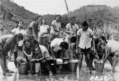 云南知青率先罢工跪求返城