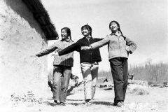 知识青年上山下乡运动纪实（发起—扎根—教育—返城—结束）