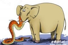 一蛇吞象的典故是什么