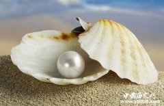 海南海口的特产小吃