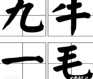 九牛一毛的成语典故