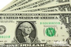 在美国一美元可以买到什么？