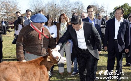 阿根廷畜牧业大国