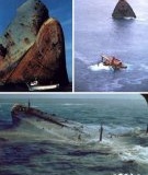 “阿莫戈-卡迪兹”号油轮事故