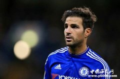 法布雷加斯个人资料和职业生涯