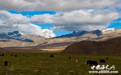 中国地形之最（高原、平原、沙漠、丘陵、盆地）