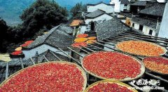 贵州人吃辣到什么程度？