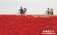 我国哪里人最能吃辣？