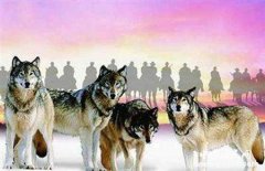 内蒙古人崇拜狼的原因