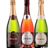 西班牙的卡瓦酒是什么酒