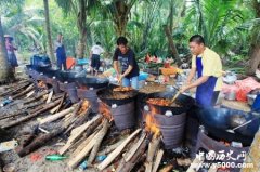 海南人的恋乡情节