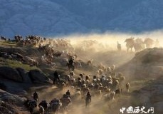 盘庚迁都形成了什么样的影响