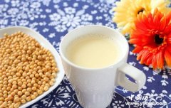 舌尖上的中国：豆浆有什么营养
