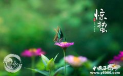 惊蛰的节日风俗有哪些