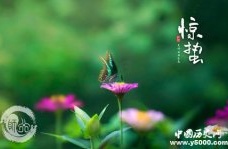 惊蛰节气怎么养生