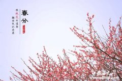 春分是什么意思