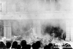 二二八事件的真相是什么