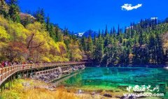 地震后的九寨沟怎么样了