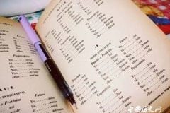 欧洲的语言分为哪些语系