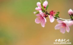 春分习俗有哪些