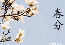 春分节气有哪些禁忌