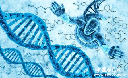 DNA是怎么被发现的
