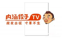 内涵段子被关停的整改措施