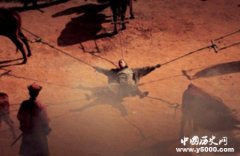 苏秦为什么被五马分尸