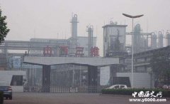 山西三维集团为什么停业整改