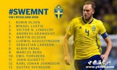 俄罗斯世界杯瑞典23人名单