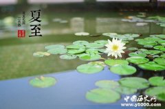 夏至节气的特点是什么