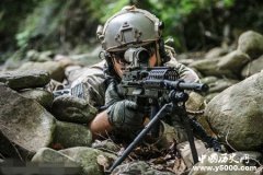 比利时军队兵种有哪些