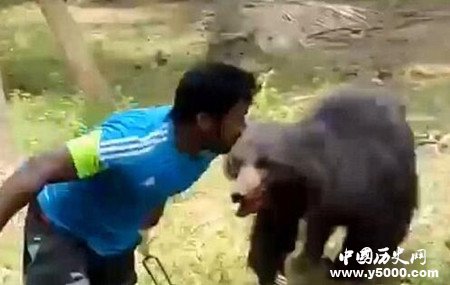 印度黑熊咬死1对夫妇