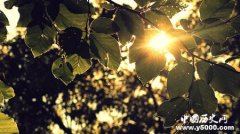 大暑的气候特点怎么样