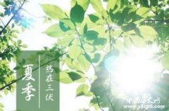 2018三伏天的时间