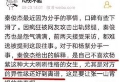 秦俊杰为什么会和杨紫分手