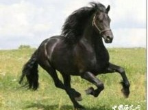 中国古代的神驹坐骑有哪些？