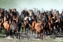 霍去病为什么要杀李敢？