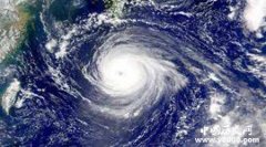 被除名的台风有哪些