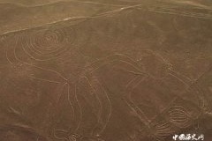 纳斯卡荒原巨画究竟有什么涵义？