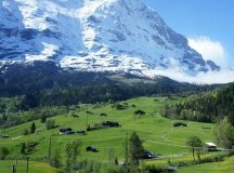 阿尔卑斯山真的有僵尸吗？