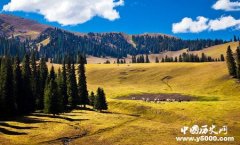 新疆的由来 新疆的发展历史