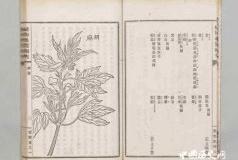 吴其濬是谁 吴其濬代表著作有哪些