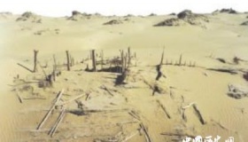 精绝国为什么“突然”就消失了？